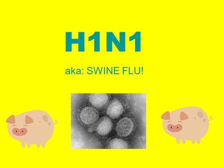 H1N1 aka: SWINE FLU!. What is it? H1N1 also known as swine flu is a new influenza virus causing illness. The virus was fist detected in the U.S in April.
