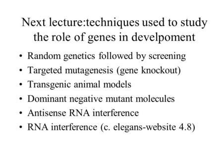 Next lecture:techniques used to study the role of genes in develpoment Random genetics followed by screening Targeted mutagenesis (gene knockout) Transgenic.