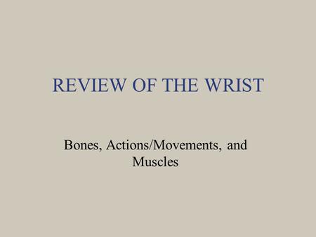 Bones, Actions/Movements, and Muscles