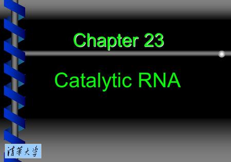 Chapter 23 Catalytic RNA. 23.1 Introduction 23.2 Group I introns undertake self-splicing by transesterification 23.3 Group I introns form a characteristic.