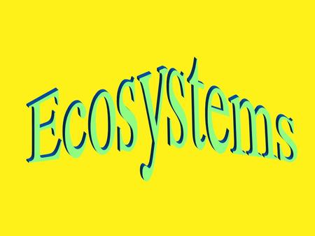 What is an ecosystem? An ecosystem is a dynamic interaction between plants, animals, microorganisms and their environment working together as a functional.