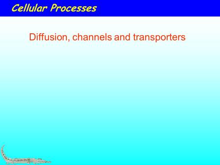 Cellular Processes Diffusion, channels and transporters.