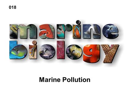 Marine Pollution 018. Petroleum hydrocarbons Plastics Pesticides Heavy metals Sewage Radioactive waste Thermal effluents Marine Pollutants.