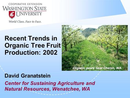 Recent Trends in Organic Tree Fruit Production: 2002 David Granatstein Center for Sustaining Agriculture and Natural Resources, Wenatchee, WA Organic pears.