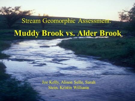 Muddy Brook vs. Alder Brook Stream Geomorphic Assessment: Joe Kelly, Alison Selle, Sarah Stein, Kristin Williams.
