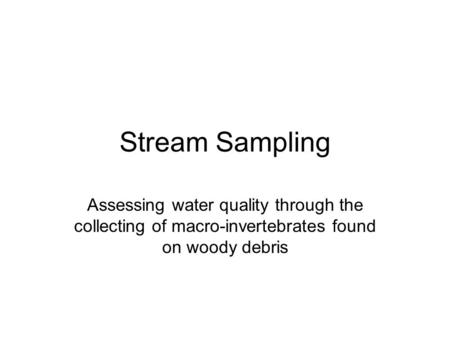 Stream Sampling Assessing water quality through the collecting of macro-invertebrates found on woody debris.
