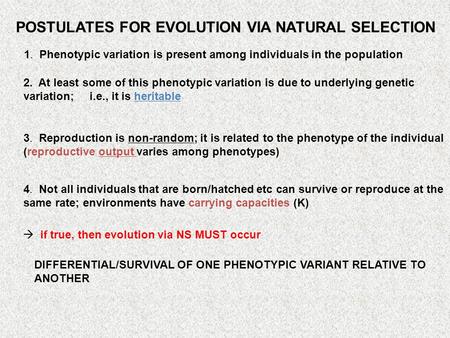 POSTULATES FOR EVOLUTION VIA NATURAL SELECTION 1. Phenotypic variation is present among individuals in the population 2. At least some of this phenotypic.