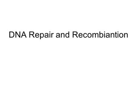 DNA Repair and Recombiantion. Methyl-directed mismatch repair (1) If any mismatch escapes the proof reading mechanisms it will cause distortion of the.