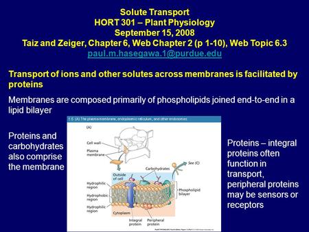Solute Transport HORT 301 – Plant Physiology September 15, 2008 Taiz and Zeiger, Chapter 6, Web Chapter 2 (p 1-10), Web Topic 6.3