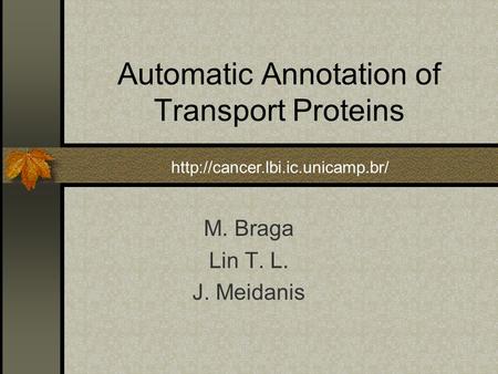 Automatic Annotation of Transport Proteins M. Braga Lin T. L. J. Meidanis