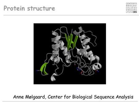 Protein structure Anne Mølgaard, Center for Biological Sequence Analysis.