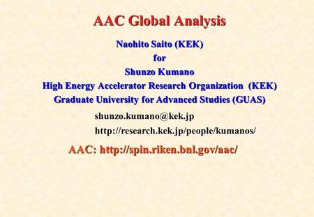 AAC Global Analysis Naohito Saito (KEK) for Shunzo Kumano High Energy Accelerator Research Organization (KEK) Graduate University for Advanced Studies.