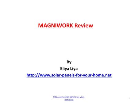 MAGNIWORK Review By Eliya Liya  1  home.net.