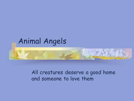 Animal Angels All creatures deserve a good home and someone to love them.