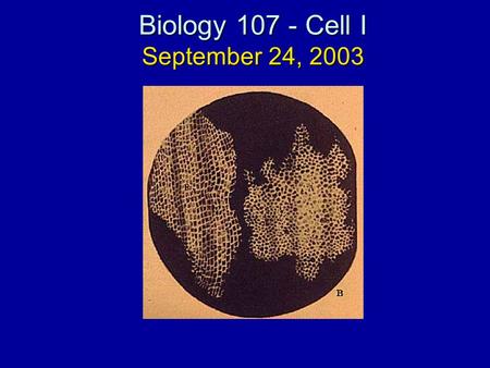 Biology 107 - Cell I September 24, 2003. Cell I Student Objectives:As a result of this lecture and the assigned reading, you should understand the following: