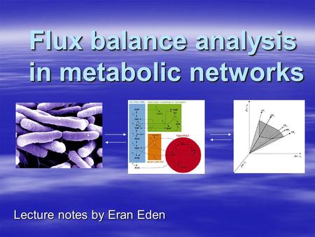 Flux balance analysis in metabolic networks Lecture notes by Eran Eden.
