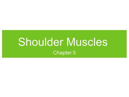 Shoulder Muscles Chapter 5.