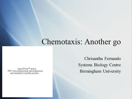 Chemotaxis: Another go Chrisantha Fernando Systems Biology Centre Birmingham University Chrisantha Fernando Systems Biology Centre Birmingham University.