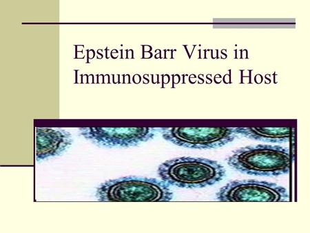 Epstein Barr Virus in Immunosuppressed Host. Epstein Barr Virus = Human herpesvirus 4 Infects more than 95% of the world's population. Humans are the.