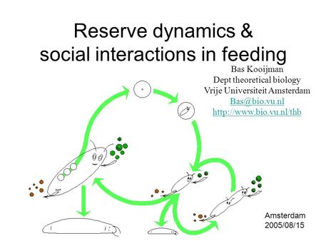 Reserve dynamics & social interactions in feeding Bas Kooijman Dept theoretical biology Vrije Universiteit Amsterdam