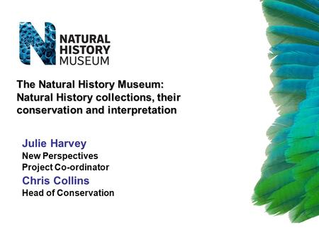 The Natural History Museum: Natural History collections, their conservation and interpretation Julie Harvey New Perspectives Project Co-ordinator Chris.