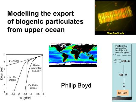 Modelling the export of biogenic particulates from upper ocean Philip Boyd.