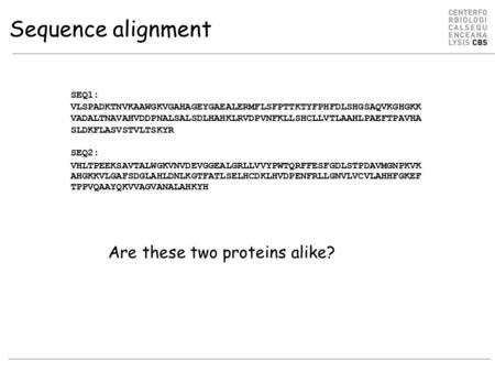 Sequence alignment SEQ1: VLSPADKTNVKAAWGKVGAHAGEYGAEALERMFLSFPTTKTYFPHFDLSHGSAQVKGHGKK VADALTNAVAHVDDPNALSALSDLHAHKLRVDPVNFKLLSHCLLVTLAAHLPAEFTPAVHA SLDKFLASVSTVLTSKYR.