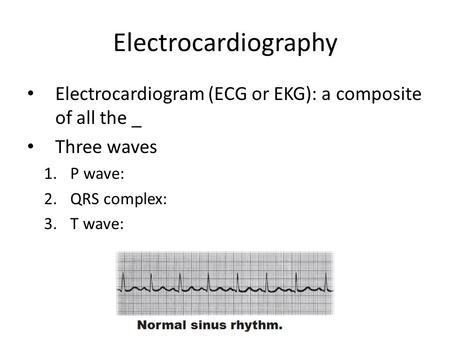 Electrocardiography Electrocardiogram (ECG or EKG): a composite of all the _ Three waves 1.P wave: 2.QRS complex: 3.T wave:
