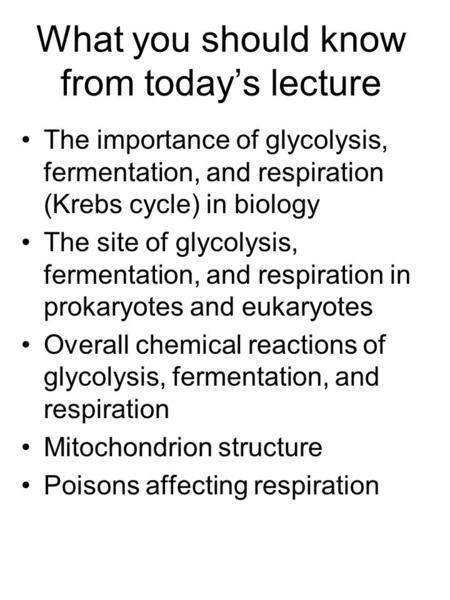 What you should know from today’s lecture The importance of glycolysis, fermentation, and respiration (Krebs cycle) in biology The site of glycolysis,