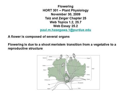 Flowering HORT 301 – Plant Physiology November 30, 2009 Taiz and Zeiger Chapter 25 Web Topics 1.2, 25.7 Web Essay 25.2 A flower.