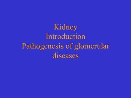 Kidney Introduction Pathogenesis of glomerular diseases