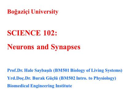Boğaziçi University SCIENCE 102: Neurons and Synapses Prof.Dr. Hale Saybaşılı (BM501 Biology of Living Systems) Yrd.Doç.Dr. Burak Güçlü (BM502 Intro. to.