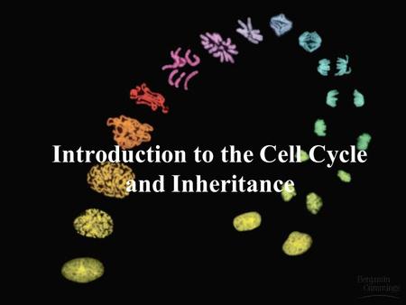 Introduction to the Cell Cycle and Inheritance