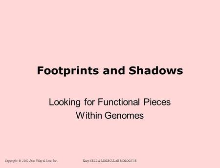 Copyright, ©, 2002, John Wiley & Sons, Inc.,Karp/CELL & MOLECULAR BIOLOGY 3E Footprints and Shadows Looking for Functional Pieces Within Genomes.