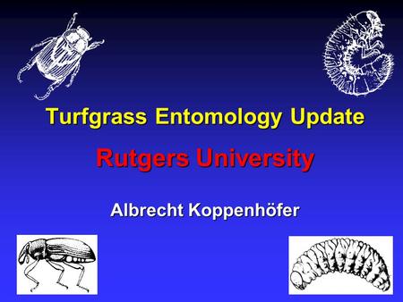 Turfgrass Entomology Update Rutgers University Albrecht Koppenhöfer.