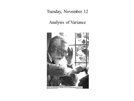 Tuesday, November 12 Analysis of Variance. Tuesday, November 12 The Analysis of Variance.