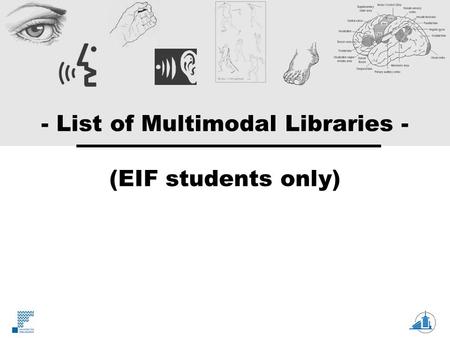 - List of Multimodal Libraries - (EIF students only)
