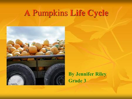 A Pumpkins Life Cycle By Jennifer Riley Grade 3 Understanding A pumpkins life cycle Math and Pumpkins Pumpkin recipes Pumpkin Activities.