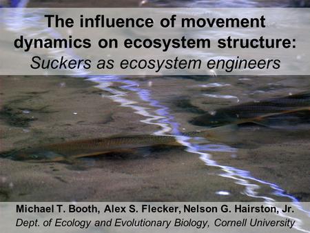 The influence of movement dynamics on ecosystem structure: Suckers as ecosystem engineers Michael T. Booth, Alex S. Flecker, Nelson G. Hairston, Jr. Dept.