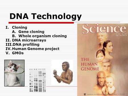 DNA Technology I.Cloning A.Gene cloning B.Whole organism cloning II.DNA microarrays III.DNA profiling IV.Human Genome project V.GMOs.