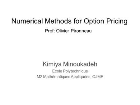 Numerical Methods for Option Pricing