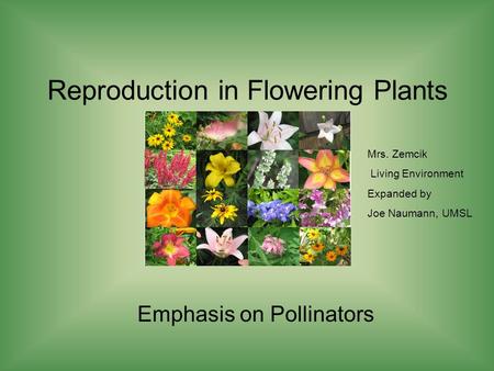 Reproduction in Flowering Plants Emphasis on Pollinators Mrs. Zemcik Living Environment Expanded by Joe Naumann, UMSL.