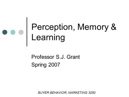 Perception, Memory & Learning