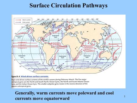 1 Surface Circulation Pathways Generally, warm currents move poleward and cool currents move equatorward.
