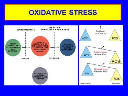OXIDATIVE STRESS. INDUCTION OF OXIDATIVE STRESS Glutathione conjugation MalnutritionMutation Phagocytic activation Tissue damageSmoking.
