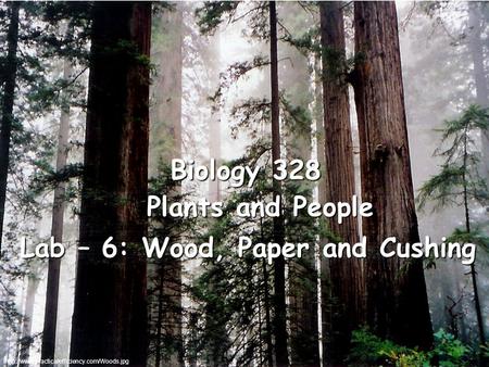 Plants and People Lab – 6: Wood, Paper and Cushing Biology 328.