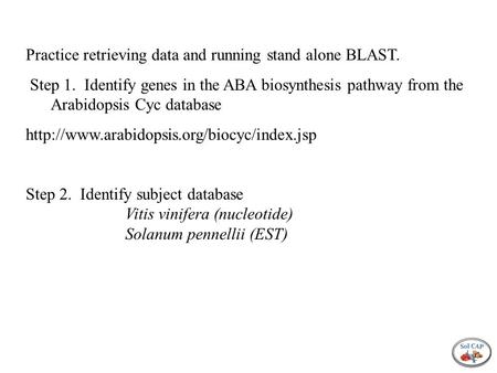 Practice retrieving data and running stand alone BLAST. Step 1. Identify genes in the ABA biosynthesis pathway from the Arabidopsis Cyc database