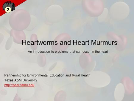 2 Heartworms and Heart Murmurs Partnership for Environmental Education and Rural Health Texas A&M University  An introduction to problems.