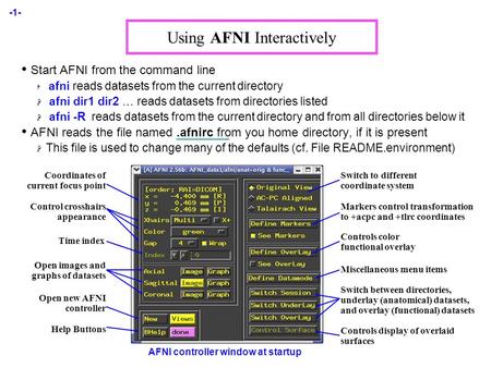-1- Using AFNI Interactively Start AFNI from the command line  afni reads datasets from the current directory  afni dir1 dir2 … reads datasets from directories.