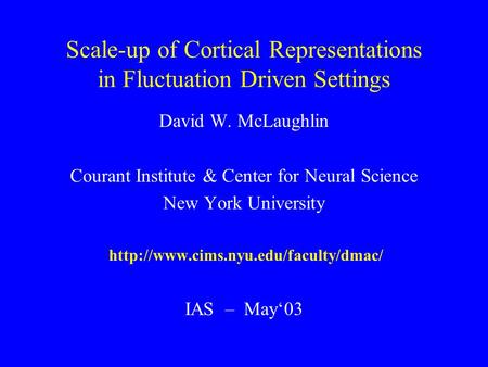 Scale-up of Cortical Representations in Fluctuation Driven Settings David W. McLaughlin Courant Institute & Center for Neural Science New York University.